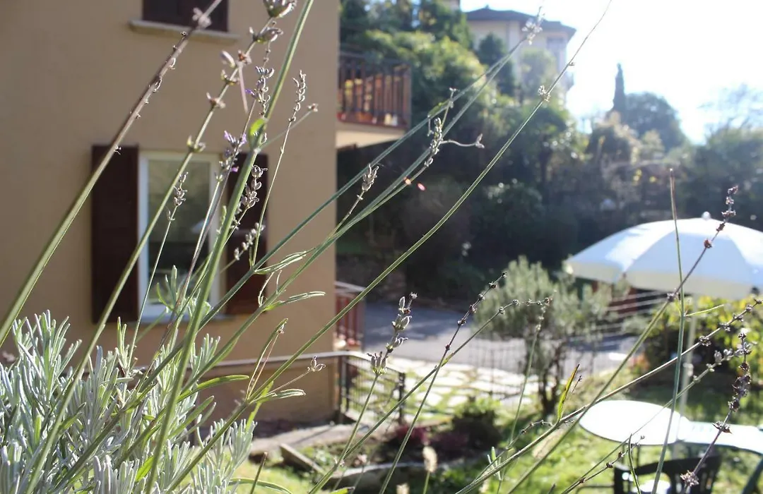 Atelier 55 Casa arte e natura-1